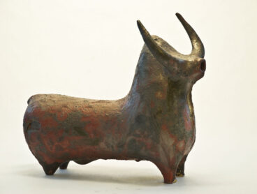 Zebu Bull 1